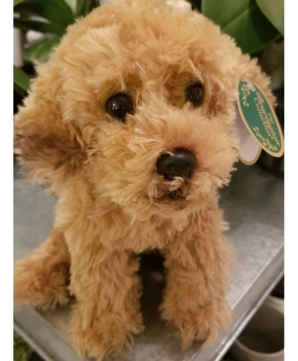 Doodle The Bearington Collection