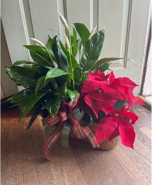Double Basket Garden
