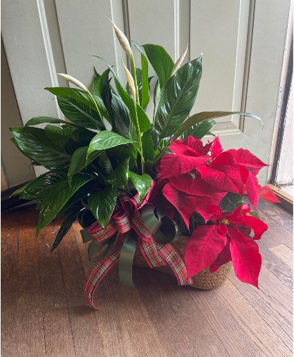 Double Basket Garden