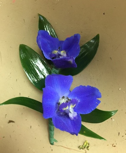 Double Delphinium Boutonniere Boutonniere