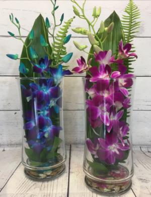 Dendro Vased in either blue or pink 