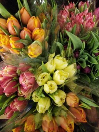 SpringTulips Fresh flower arrangement