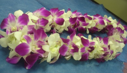 Double-Layered Graduation Lei -- Purple and White Congratulations / Graduation