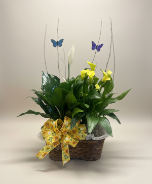 Double Plant Basket 