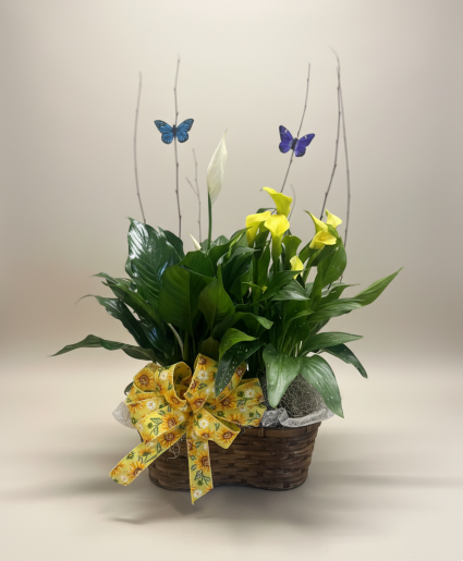 Double Plant Basket 