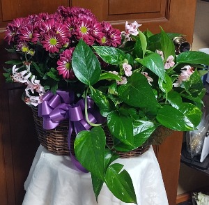 Double Planter (includes 2 6inch plants) 