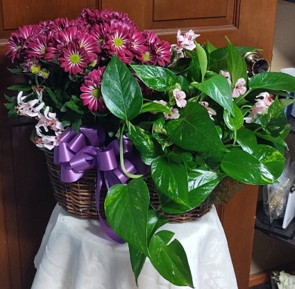 Double Planter (includes 2 6inch plants) 