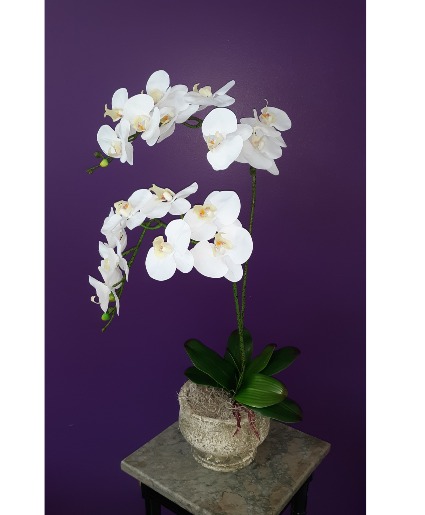 double silk orchid silk plant
