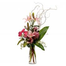 Double Trouble Arrangement