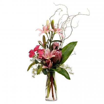 Double Trouble Arrangement