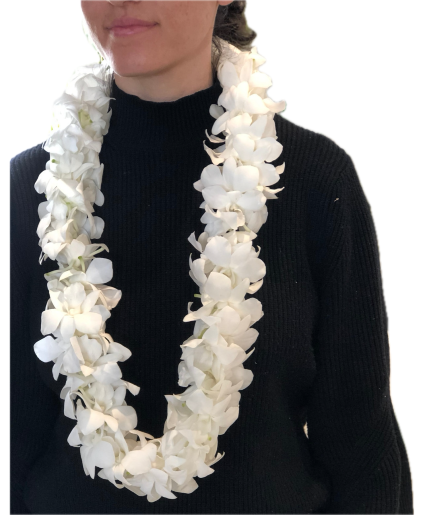 Double White Dendrobium Orchid Hawaiian Lei 