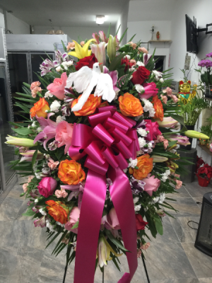 Dove Pink Love! FUNERALS
