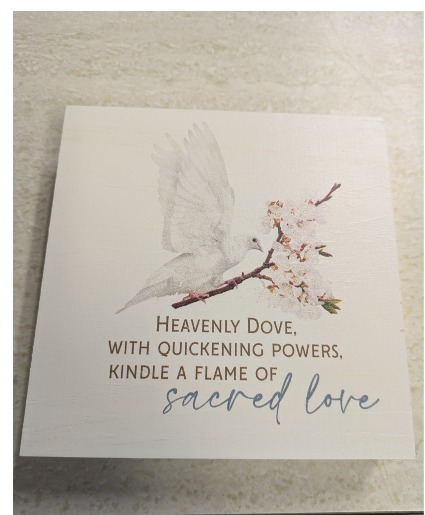 Dove Wooden Plaque NFS-DIA22Y2