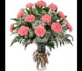 DOZ PINK CARNATIONS 