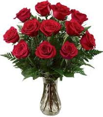 DOZEN 50CM RED ROSES 