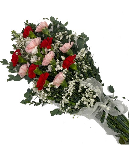 Dozen Carnations Wrapped Cello and ribbon