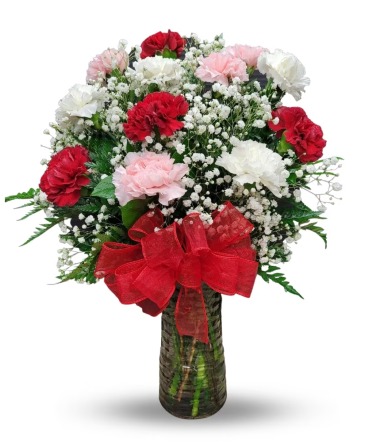 Dozen Assorted Carnations  in Sun City Center, FL | SUN CITY CENTER FLOWERS AND GIFTS