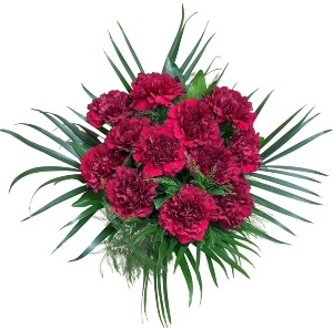 Dozen Carnation Hand Tie 