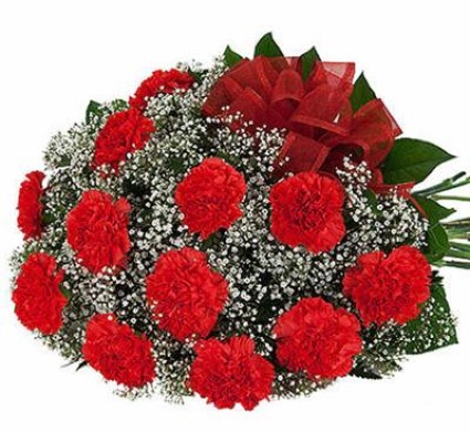 Dozen Carnation Wrap  