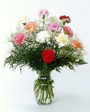   Carnations Galore! Vase in Park Falls, WI | The Blumenhaus