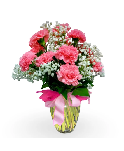 Dozen Carnations Valentines