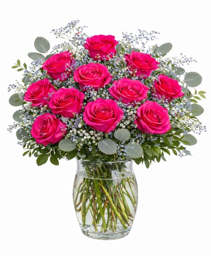 Dozen Hot Pink Roses 