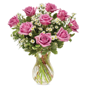 Dozen Lavender Roses Everyday