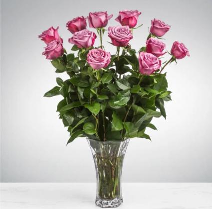 12 Long Stemmed Lavender Roses 