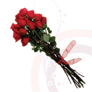 Dozen long stemmed red roses 12 loose long stemmed open-cut red roses Top grade,Premium Ecuadorian roses -- variety, -Explorer 