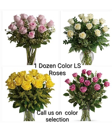 1 Dozen Colored Rose Bouquet in Whitesboro, NY | KOWALSKI FLOWERS INC.