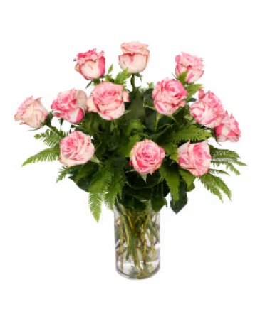 Dozen Magic Times Roses   in Hot Springs, AR | Lake Hamilton Flowers & Gifts
