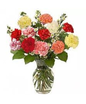 Dozen Mixed Carnations Flowers