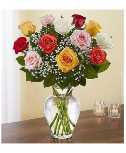 Dozen Mixed Roses  THIS WEEKS SPECIAL