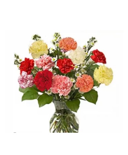 Dozen of colorful carnations Deal of the day