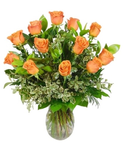 Dozen Orange Roses 