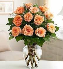  Dozen Peach Roses 
