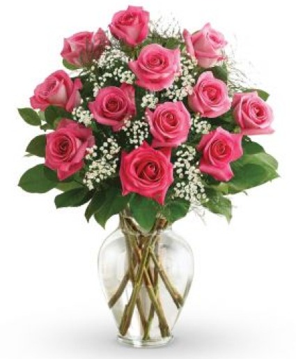 Dozen Roses 