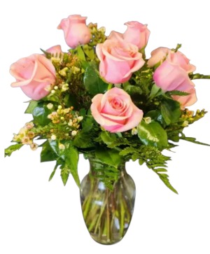 Dozen Pink 