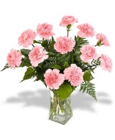Dozen Pretty-n-Pink Carnation Bouquet  