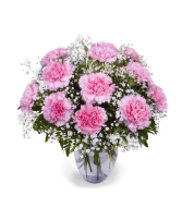 Dozen Pink Carnations fresh arrangement