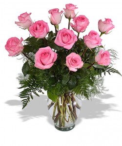 Pink Roses  