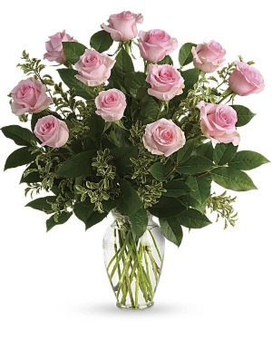 A Dozen Pink Roses 