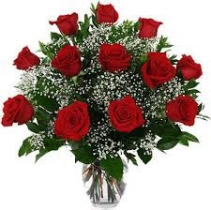 Dozen red 