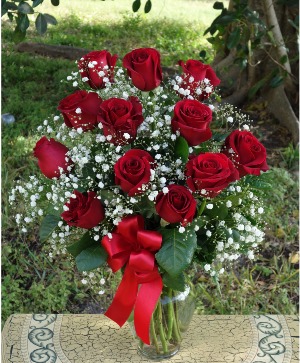 Dozen red roses 