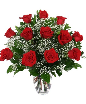 Dozen Red Roses Arrangement