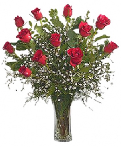 Dozen red roses Red roses