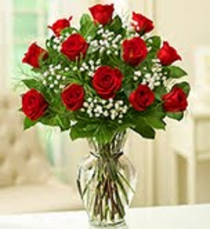 Dozen Red Roses With Babies Breath Rose Arrangement