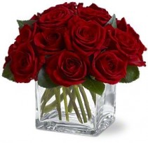 Dozen Rose Contempo Flowers Rose Arrangement