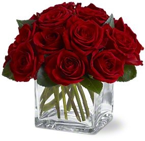 Dozen Rose Contempo Flowers Rose Arrangement
