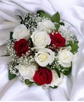 Dozen White and Red Roses Bouquet FHF-P3211 